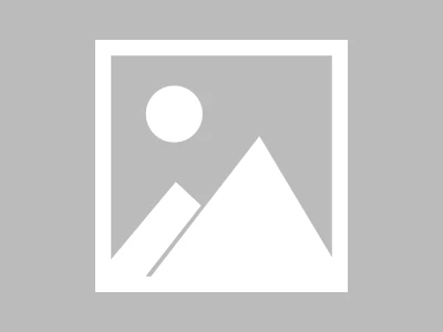 NVTS Stock Dives: Earnings Miss and Investor Skepticism